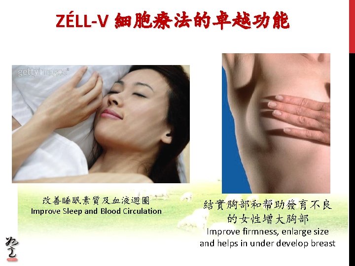 ZÉLL-V 細胞療法的卓越功能 改善睡眠素質及血液迴圈 Improve Sleep and Blood Circulation 結實胸部和帮助發育不良 的女性增大胸部 Improve firmness, enlarge size