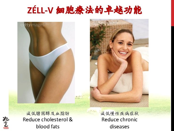ZÉLL-V 細胞療法的卓越功能 減低膽固醇及血脂肪 減低慢性疾病症狀 Reduce cholesterol & blood fats Reduce chronic diseases ZÉLL-V 細胞療法的卓越功能 減低膽固醇及血脂肪 減低慢性疾病症狀 Reduce cholesterol & blood fats Reduce chronic diseases