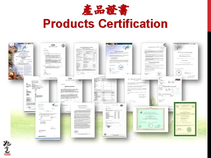 產品證書 Products Certification 