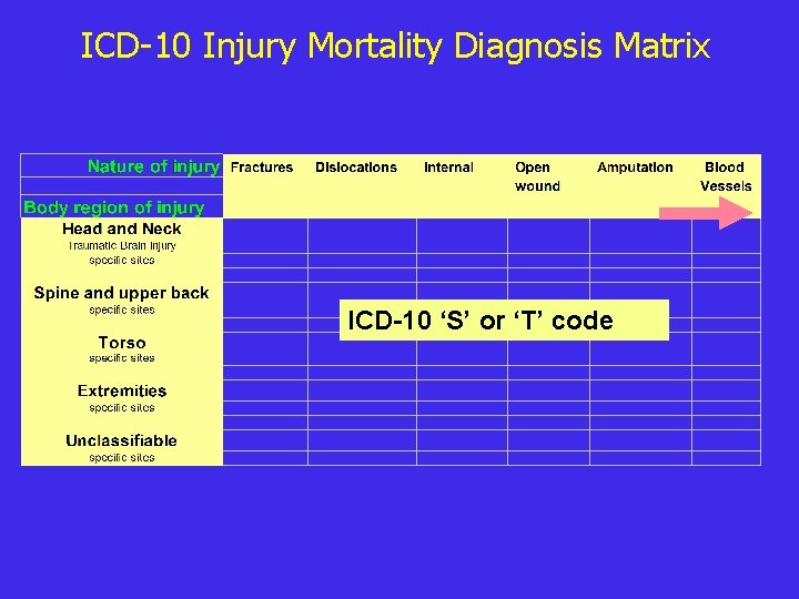 ICD-10 Injury Mortality Diagnosis Matrix ICD-10 ‘S’ or ‘T’ code 