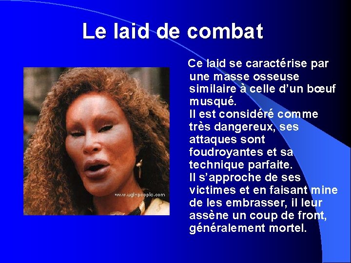 Le laid de combat Ce laid se caractérise par une masse osseuse similaire à