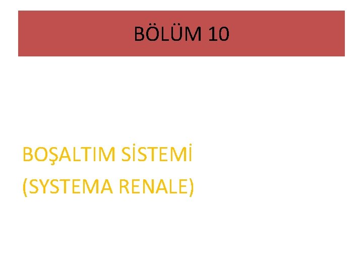 BÖLÜM 10 BOŞALTIM SİSTEMİ (SYSTEMA RENALE) 