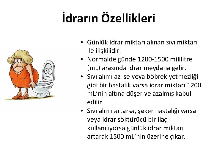 İdrarın Özellikleri • Günlük idrar miktarı alınan sıvı miktarı ile ilişkilidir. • Normalde günde