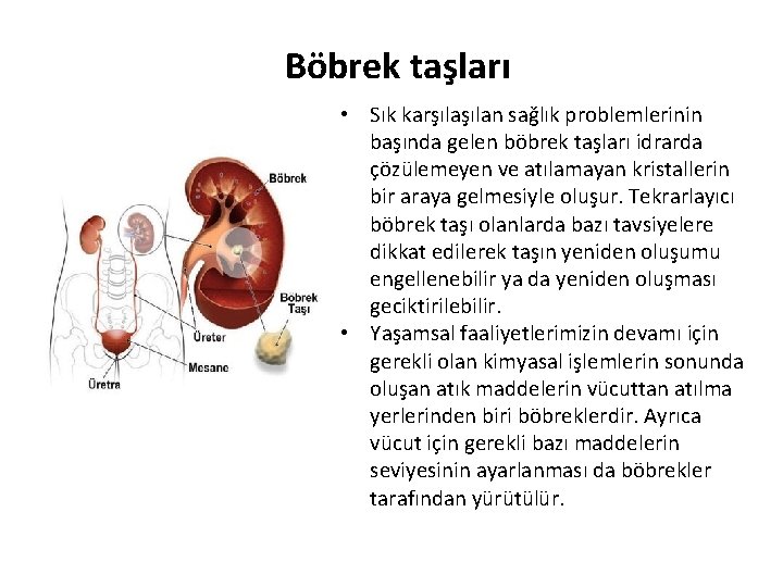 Böbrek taşları • Sık karşılan sağlık problemlerinin başında gelen böbrek taşları idrarda çözülemeyen ve
