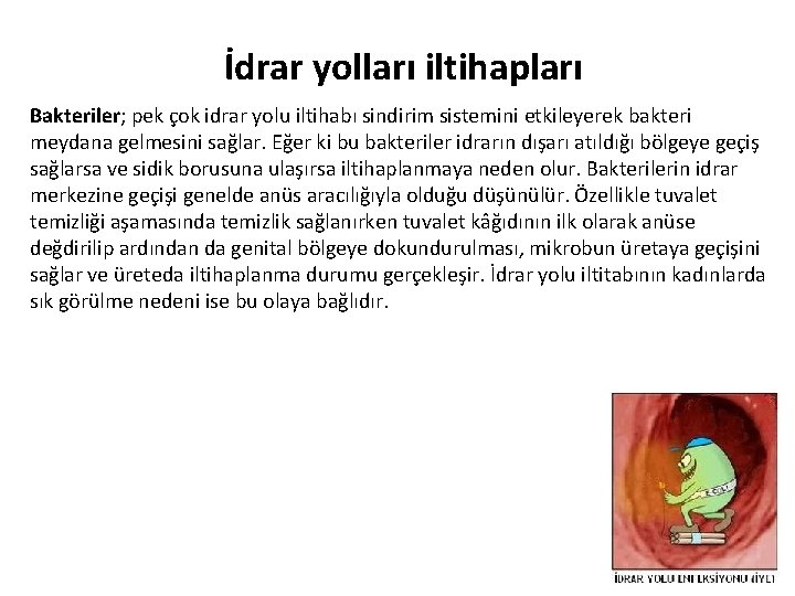 İdrar yolları iltihapları Bakteriler; pek çok idrar yolu iltihabı sindirim sistemini etkileyerek bakteri meydana