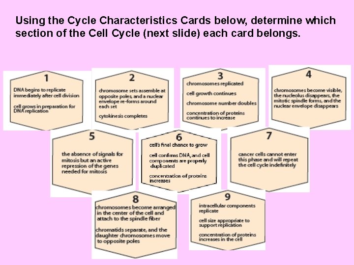 Using the Cycle Characteristics Cards below, determine which section of the Cell Cycle (next