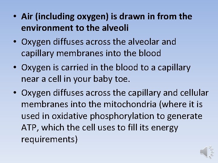  • Air (including oxygen) is drawn in from the environment to the alveoli