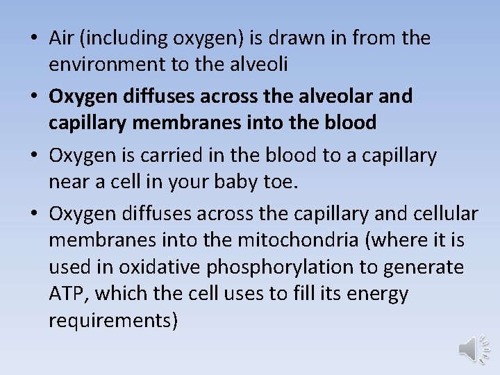  • Air (including oxygen) is drawn in from the environment to the alveoli