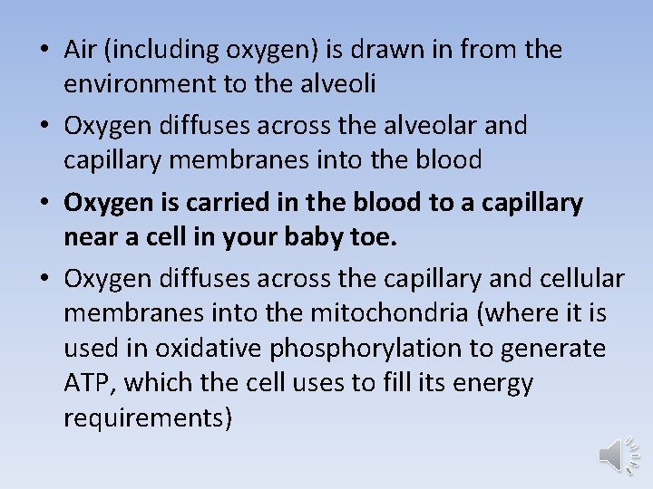  • Air (including oxygen) is drawn in from the environment to the alveoli