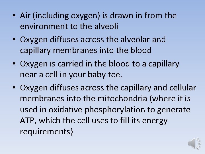  • Air (including oxygen) is drawn in from the environment to the alveoli