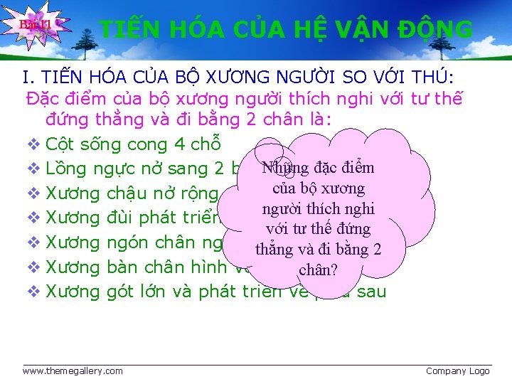 Bài 11 TIẾN HÓA CỦA HỆ VẬN ĐỘNG I. TIẾN HÓA CỦA BỘ XƯƠNG