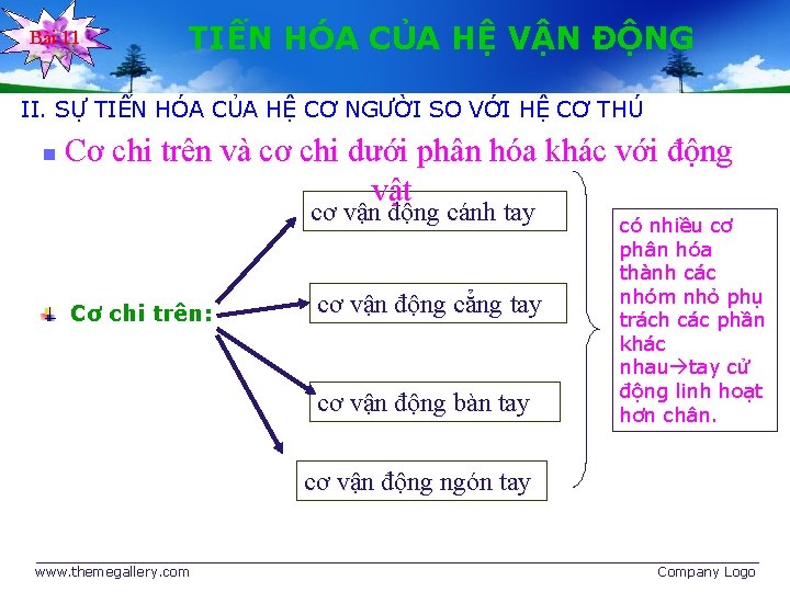 Bài 11 TIẾN HÓA CỦA HỆ VẬN ĐỘNG II. SỰ TIẾN HÓA CỦA HỆ