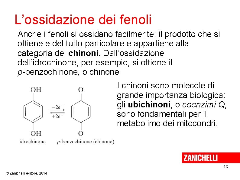 L’ossidazione dei fenoli Anche i fenoli si ossidano facilmente: il prodotto che si ottiene L’ossidazione dei fenoli Anche i fenoli si ossidano facilmente: il prodotto che si ottiene