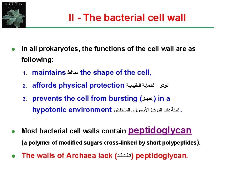 II - The bacterial cell wall l In all prokaryotes, the functions of the