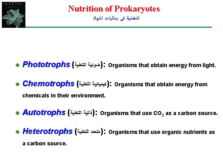 Nutrition of Prokaryotes ﺍﻟﺘﻐﺬﻳﺔ ﻓﻰ ﺑﺪﺍﺋﻴﺎﺕ ﺍﻟﻨﻮﺍﺓ l Phototrophs ( )ﺿﻮﺋﻴﺔ ﺍﻟﺘﻐﺬﻳﺔ : l