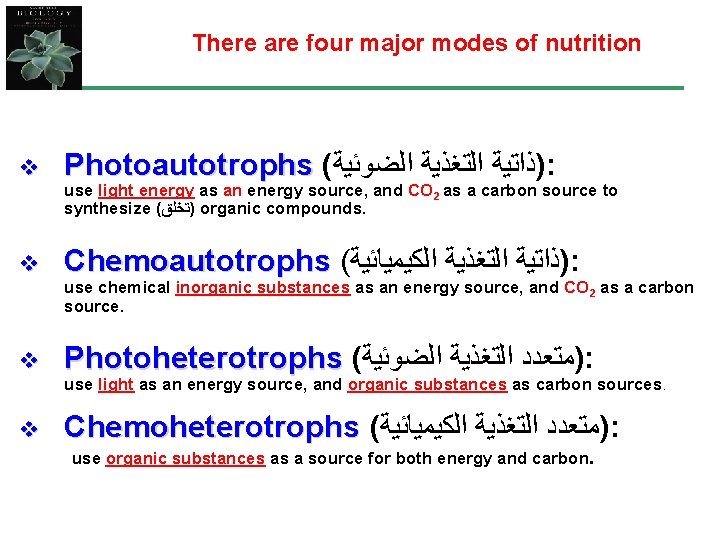 There are four major modes of nutrition v Photoautotrophs ( )ﺫﺍﺗﻴﺔ ﺍﻟﺘﻐﺬﻳﺔ ﺍﻟﻀﻮﺋﻴﺔ :