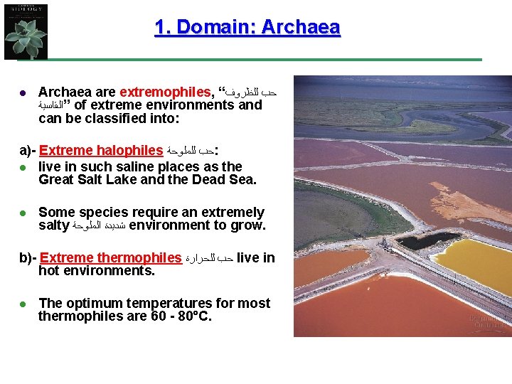 1. Domain: Archaea l Archaea are extremophiles, “ ﺣﺐ ﻟﻠﻈﺮﻭﻑ ”ﺍﻟﻘﺎﺳﻴﺔ of extreme environments