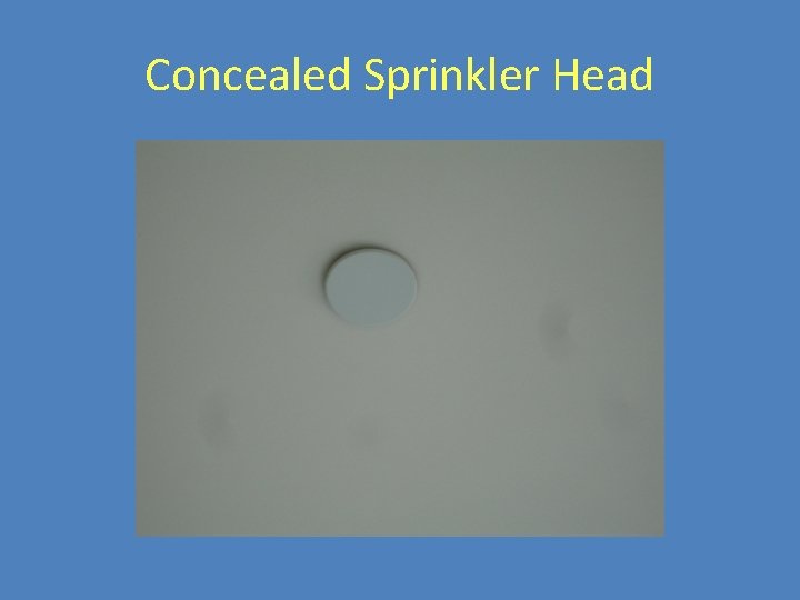 Concealed Sprinkler Head 