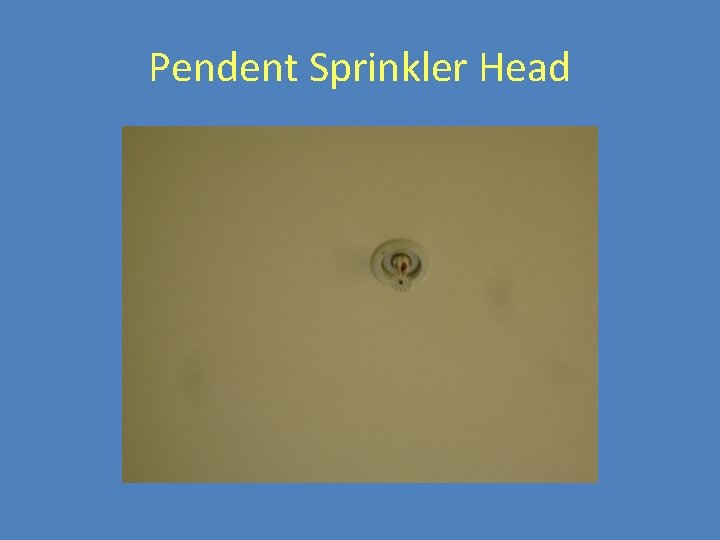 Pendent Sprinkler Head 