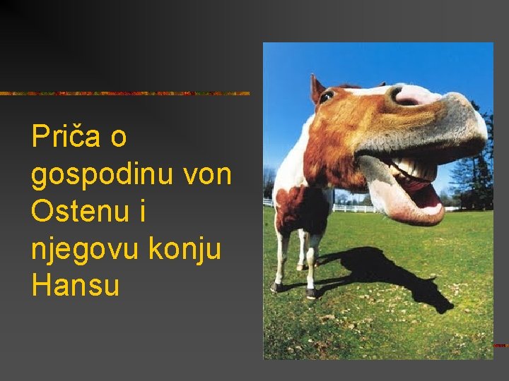 Priča o gospodinu von Ostenu i njegovu konju Hansu 