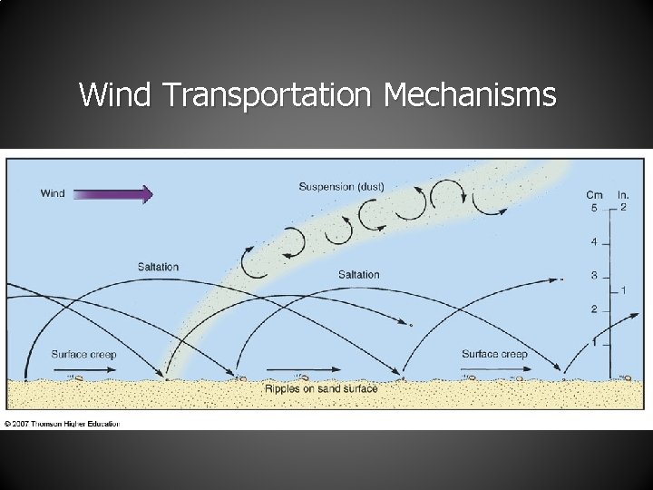 Wind Transportation Mechanisms 