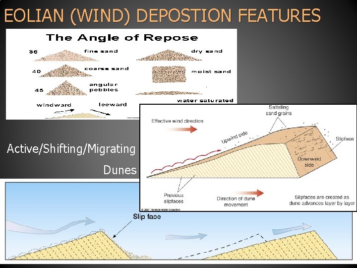 EOLIAN (WIND) DEPOSTION FEATURES Active/Shifting/Migrating Dunes 