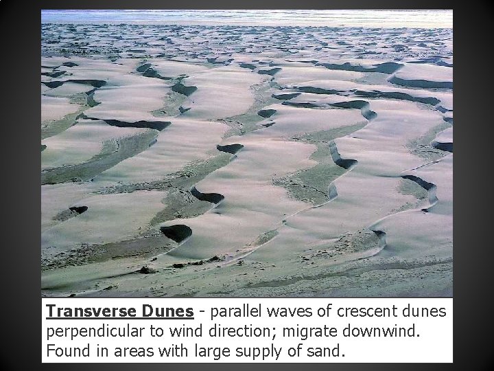 Transverse Dunes - parallel waves of crescent dunes perpendicular to wind direction; migrate downwind.