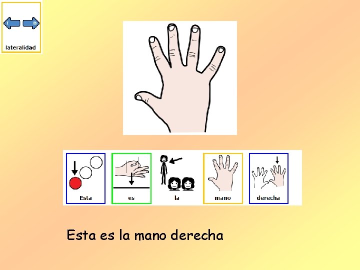 Esta es la mano derecha 