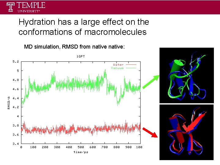 Hydration has a large effect on the conformations of macromolecules MD simulation, RMSD from Hydration has a large effect on the conformations of macromolecules MD simulation, RMSD from