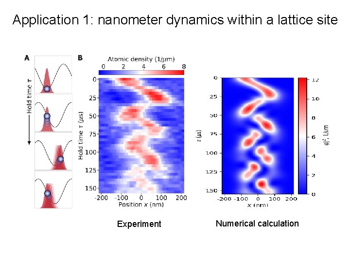 Application 1: nanometer dynamics within a lattice site Experiment Numerical calculation 