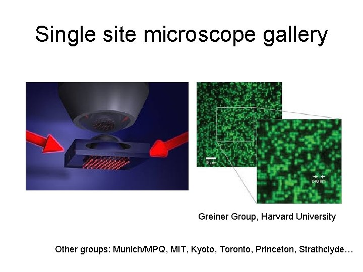 Single site microscope gallery Greiner Group, Harvard University Other groups: Munich/MPQ, MIT, Kyoto, Toronto,