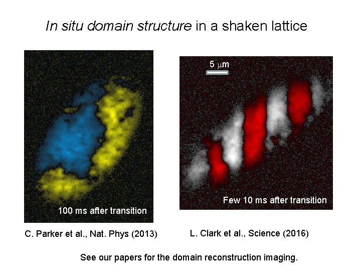 In situ domain structure in a shaken lattice 5 m Few 10 ms after
