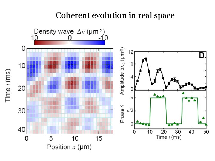 Coherent evolution in real space 