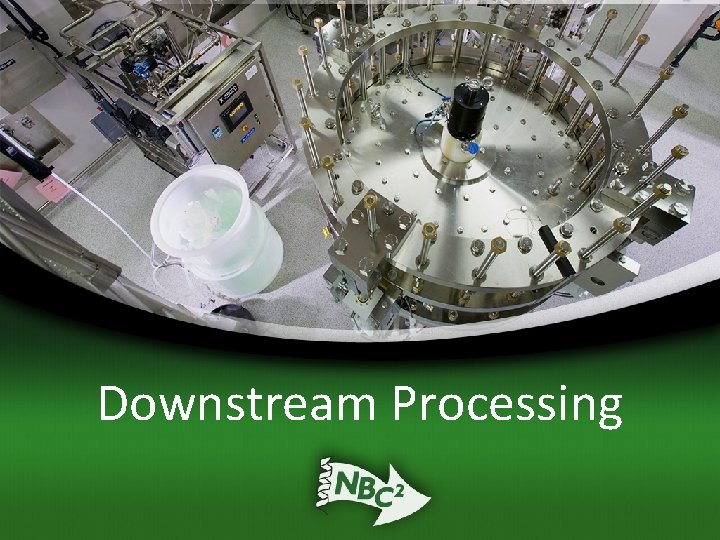 Downstream Processing 
