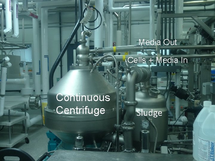 Media Out Cells + Media In Continuous Centrifuge Sludge 