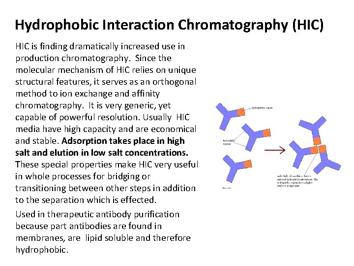 Hydrophobic Interaction Chromatography (HIC) HIC is finding dramatically increased use in production chromatography. Since