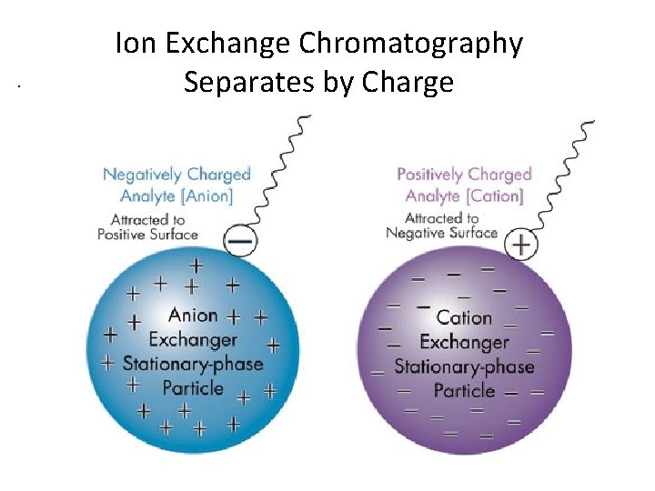 . Ion Exchange Chromatography Separates by Charge 