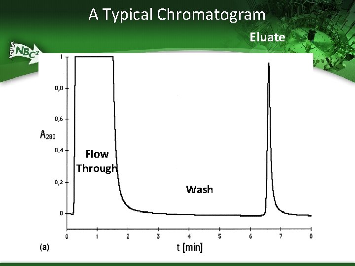 A Typical Chromatogram Eluate Flow Through Wash 