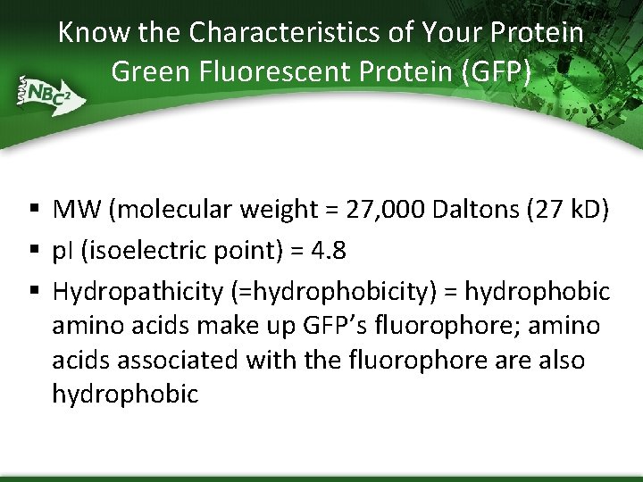 Know the Characteristics of Your Protein Green Fluorescent Protein (GFP) § MW (molecular weight