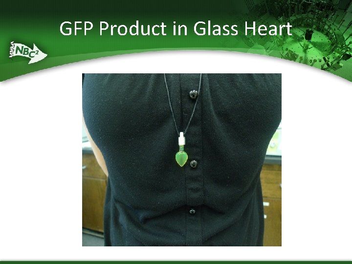 GFP Product in Glass Heart 