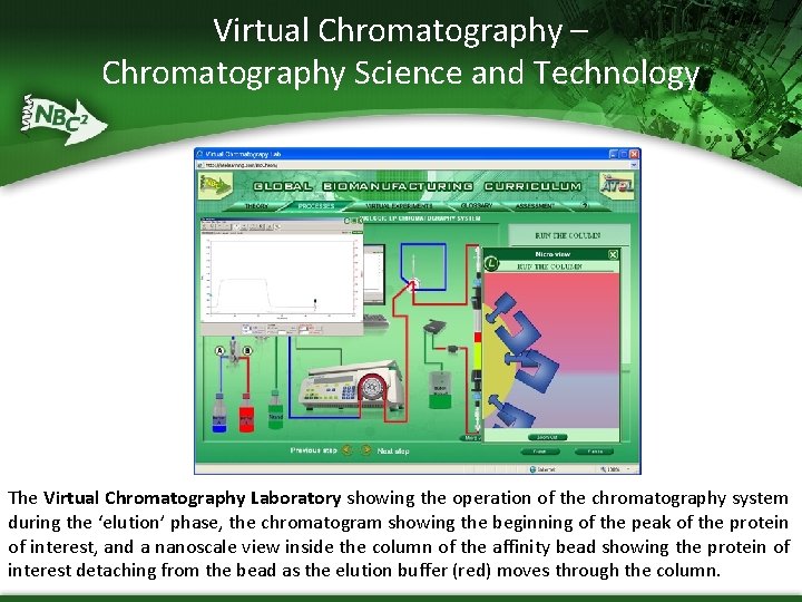 Virtual Chromatography – Chromatography Science and Technology The Virtual Chromatography Laboratory showing the operation