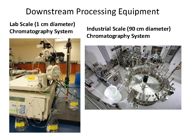 Downstream Processing Equipment Lab Scale (1 cm diameter) Chromatography System Industrial Scale (90 cm
