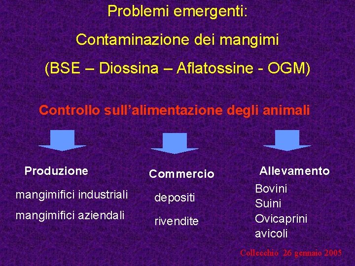 Problemi emergenti: Contaminazione dei mangimi (BSE – Diossina – Aflatossine - OGM) Controllo sull’alimentazione