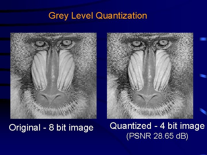 Grey Level Quantization Original - 8 bit image Quantized - 4 bit image (PSNR