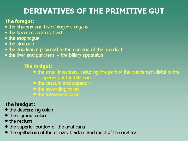 DERIVATIVES OF THE PRIMITIVE GUT The foregut: • the pharynx and branchiogenic organs •