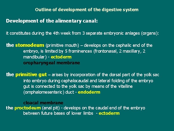  Outline of development of the digestive system Development of the alimentary canal: it