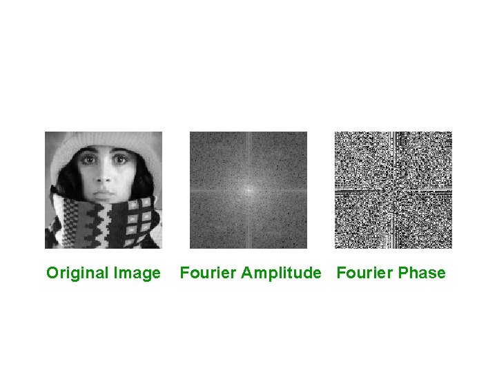 Original Image Fourier Amplitude Fourier Phase 