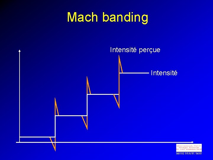 Mach banding Intensité perçue Intensité i. MAGIS-GRAVIR / IMAG 