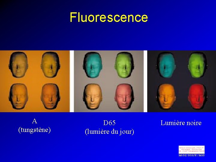 Fluorescence A (tungstène) D 65 (lumière du jour) Lumière noire i. MAGIS-GRAVIR / IMAG