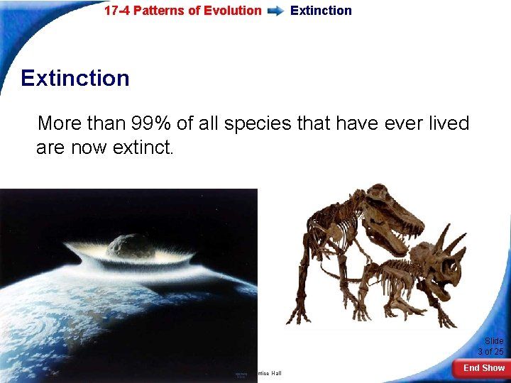 17 -4 Patterns of Evolution Extinction More than 99% of all species that have